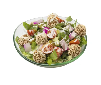 Falafel Salad — Habib Beirut Sofia