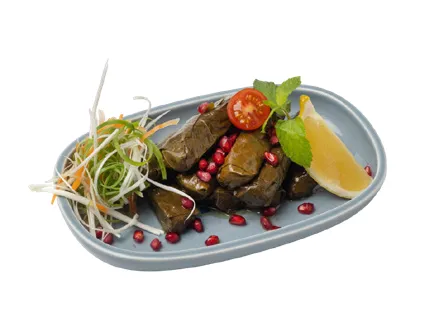 Stuffed Vine Leaves — Habib Beirut Sofia